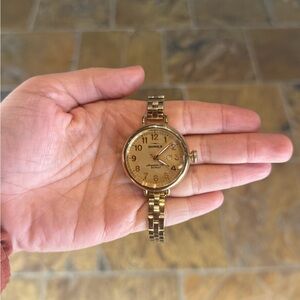 Shinola Birdy Watch